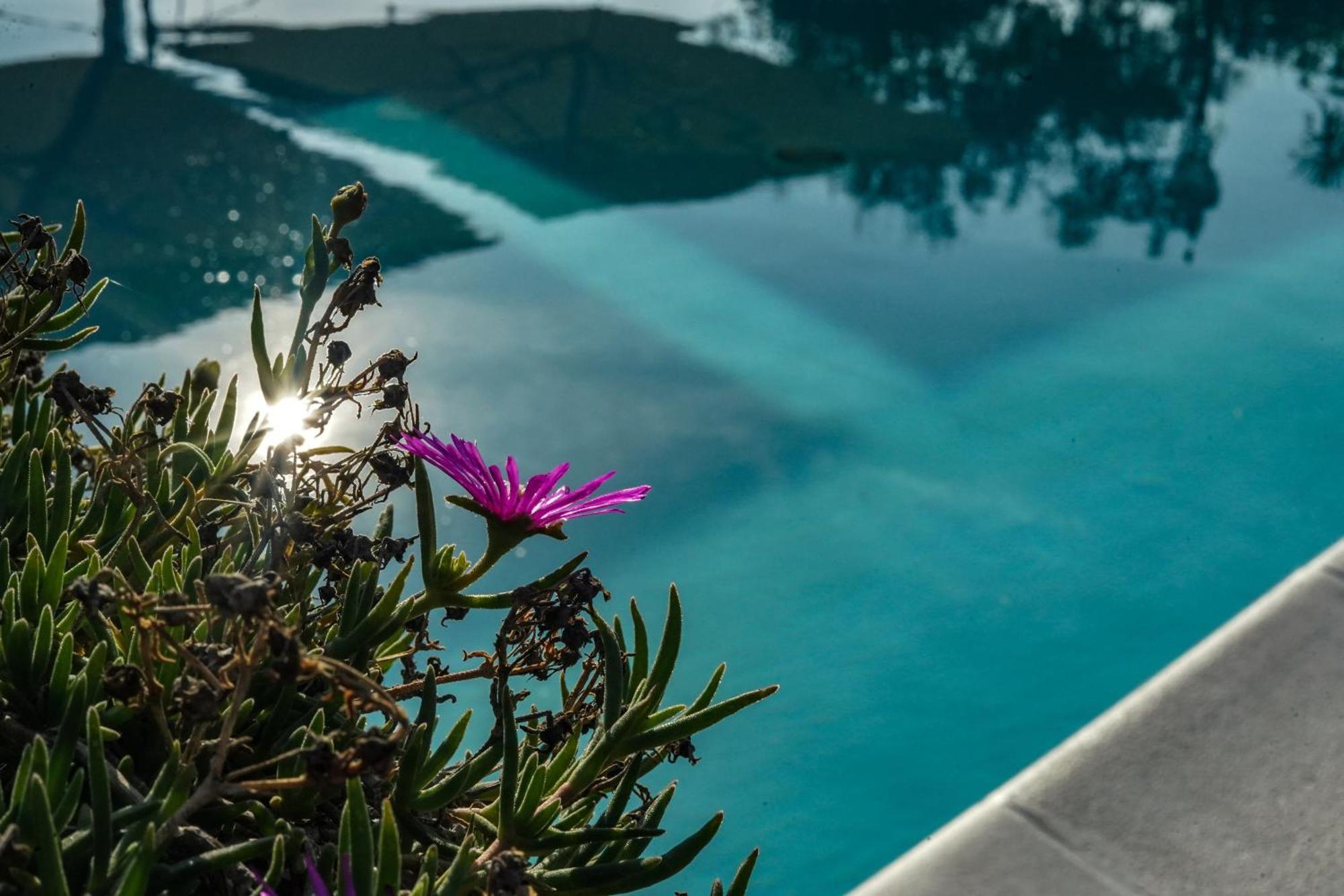 Hotel Bellavista San Bartolomeo Al Mare Zewnętrze zdjęcie