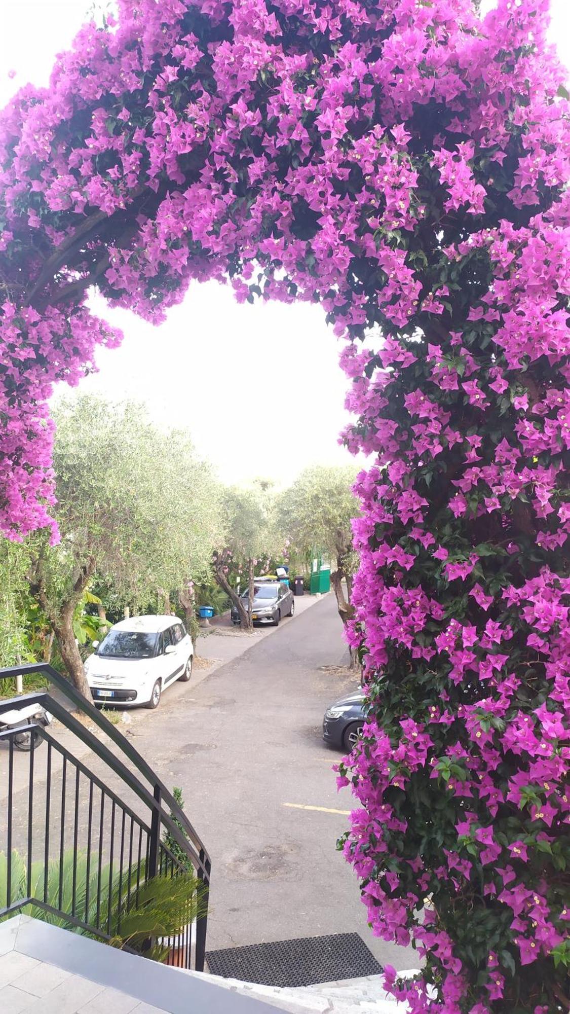 Hotel Bellavista San Bartolomeo Al Mare Zewnętrze zdjęcie
